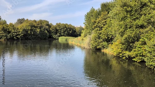 4K video of a calm river running between leafy green trees and reeds