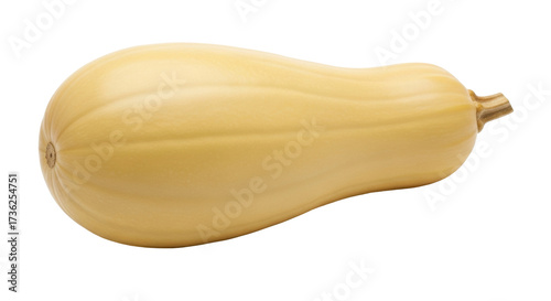 Isolated butternut squash still life showing skin surface details on seamless background