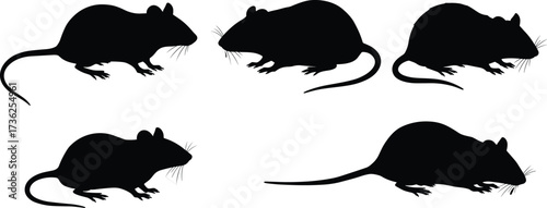 Black rat silhouette vector set, isolated rodent shapes for pest control, biology, animal icon design, wildlife identification, clean white background
