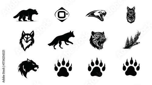 Vector wildlife collection: bear, wolf, fox, big cat, eagle silhouettes & detailed illustrations with paw prints, nature-themed designs.
