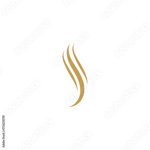 Hair wave logo vector icon