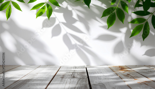 minimal, empty, rustic, white, wooden, table, top, green, tree, leaves, in, sunlight, leaf, shadow, on, bright, white, wall, for, natural, organic, cosmetic, skincare, beauty, product, background