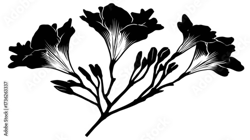 Elegant Black and White Freesia Flowers Illustration. Hand-Drawn Botanical Silhouette Graphic, Blossom and Bud Design Element.