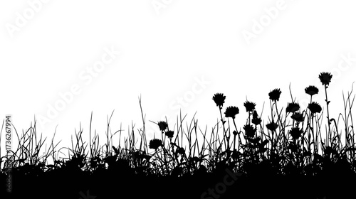 Black silhouette of wild grass and flowering plants, isolated on a white background, perfect for natural design elements