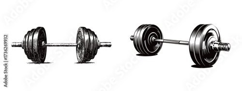 Two different styles of weights are shown, highlighting their unique designs. These weights are essential tools for strength training and physical fitness.
