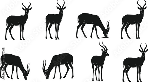 Antelope silhouette collection, wildlife vector, grazing antelope, animal anatomy, horned mammals, African fauna, nature illustration, black silhouettes, standing poses