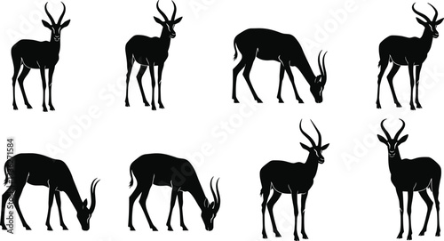 Antelope silhouettes, grazing antelope, wildlife vector, animal poses, black silhouettes, nature illustration, horned animals, standing antelope, grazing behavior, anatomy study