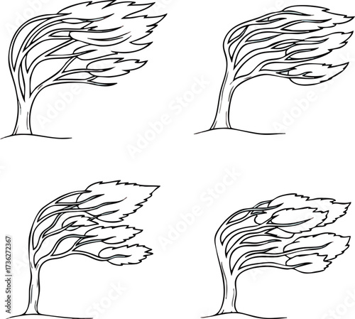 Four stylized drawings of trees bending in strong wind, shown in black and white line art.