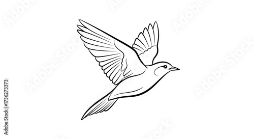 White dove of peace flying in the sky, a feathered symbol of nature and flight, available as a vector illustration or silhouette design