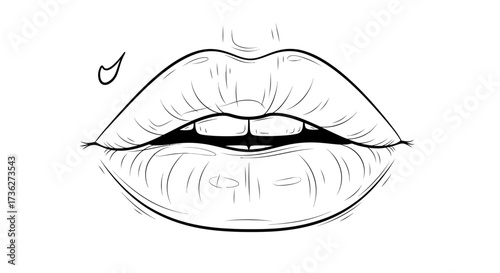 Detailed Line Art Illustration of a Pair of Human Lips A Close-Up Perspective with Emphasis on Texture and Form