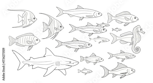 Detailed Line Art Illustration of Various Fish Species, Including a Shark, Seahorse, and Angel Fish, in a Monochrome Style