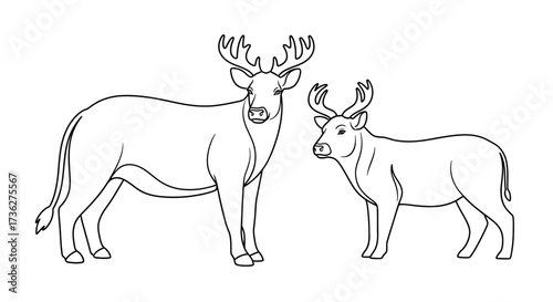 Black and White Illustration of Two Deer, One Large Buck with Antlers and a Smaller Deer, Vector Art, Suitable for Design Projects