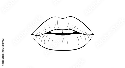 Simple Outline of a Pouting Lip A Clean, Artistic Line Drawing Featuring a Classic, Sensual Mouth on a White Background