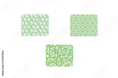 Types of Plant Tissues Science Design. Vector Illustration.