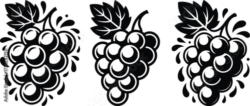Grapes Fruit Cluster Bunch Vector Illustration Set.