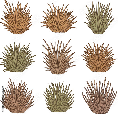 A collection of nine hand-drawn illustrations of various types of dry grass clumps in different shades of brown and green, presented in a 3x3 grid.