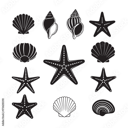 Set of different black sea shells and starfish silhouette vector.