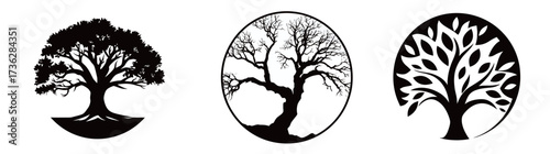 Three distinct tree illustrations show various tree forms and styles. Each tree highlights unique characteristics and symbolizes nature in an artistic way.