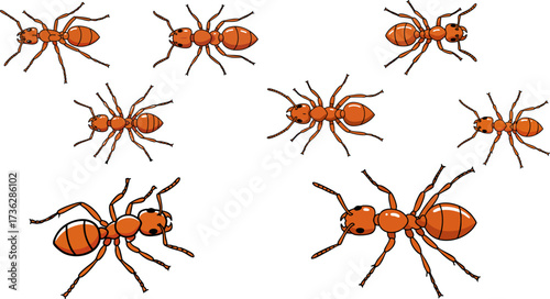 Group of ants crawling on a black background in a simple cartoon illustration