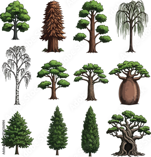 A diverse collection of twelve stylized illustrations depicting various tree species, showcasing different shapes, sizes, and foliage types in a clean, graphic style.