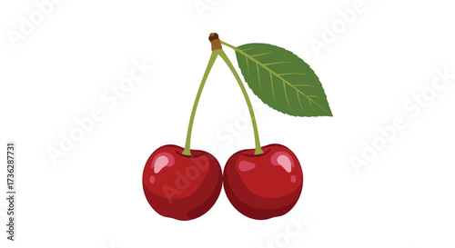 Two ripe cherries hanging from their stems with a single green leaf.