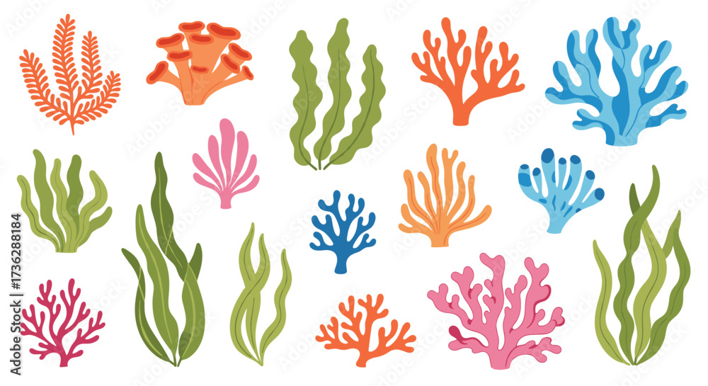 Fototapeta premium Colorful collection of various underwater coral and seaweed plants