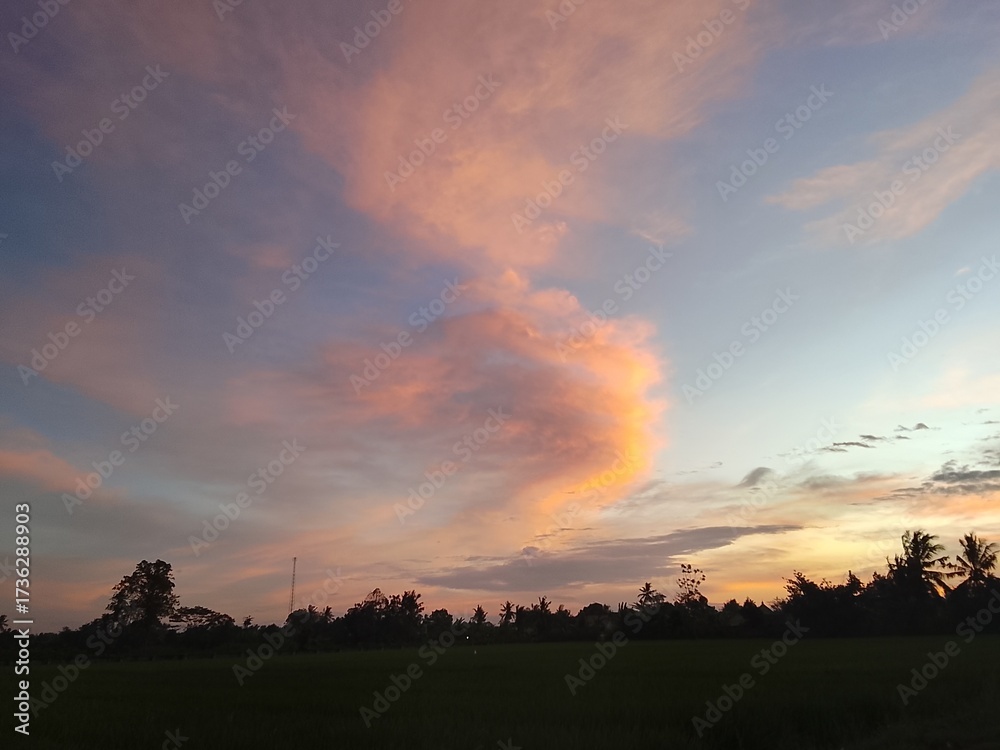 Obraz premium sunset over the field