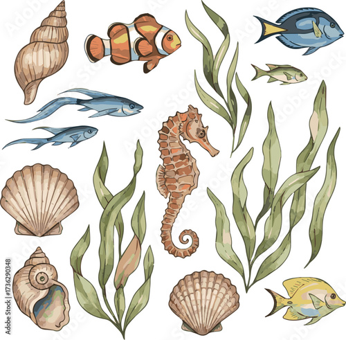  Watercolor Sea Life, Seaweed, Shell, fish, sea horse, beautiful collection for design