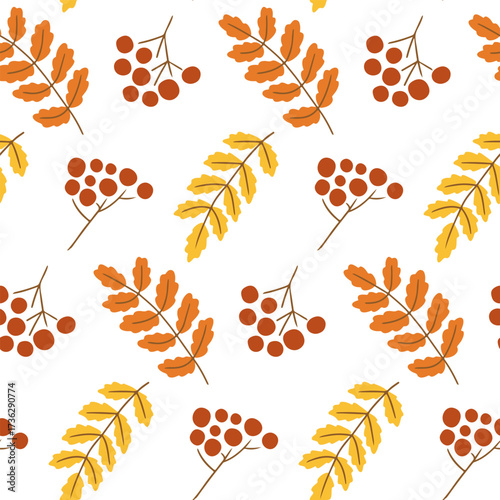 Seamless pattern of hand drawn rowan branches with berries and autumn leaves on white background. Concept of fall nature, forest harvest, seasonal texture and organic design