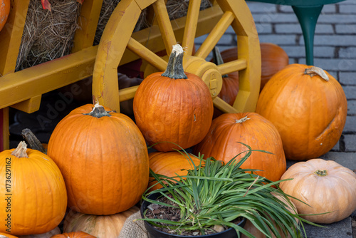 Photography Fresh orange pumpkins arranged on straw beside a wooden cart during the golden a