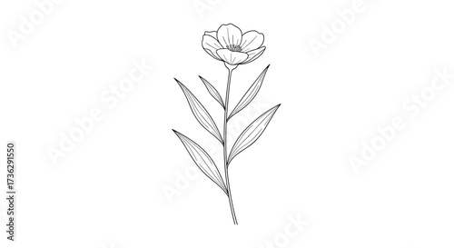 An artistic hand drawn sketch of a single delicate flower with leaves.