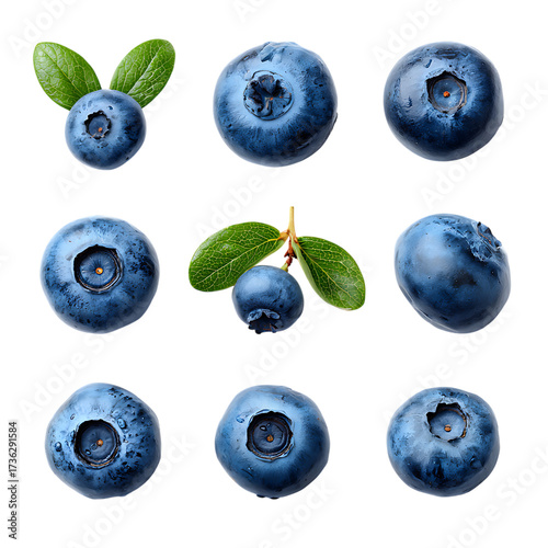 Blueberry fruits isolated natural realistic high quality png