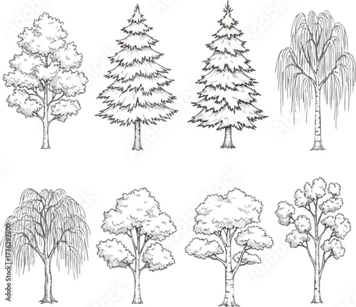 A collection of eight different hand-drawn trees, including pine, oak, and willow, in a sketch style.