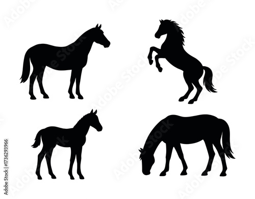 Set of horse silhouettes including grazing and rearing poses on white background