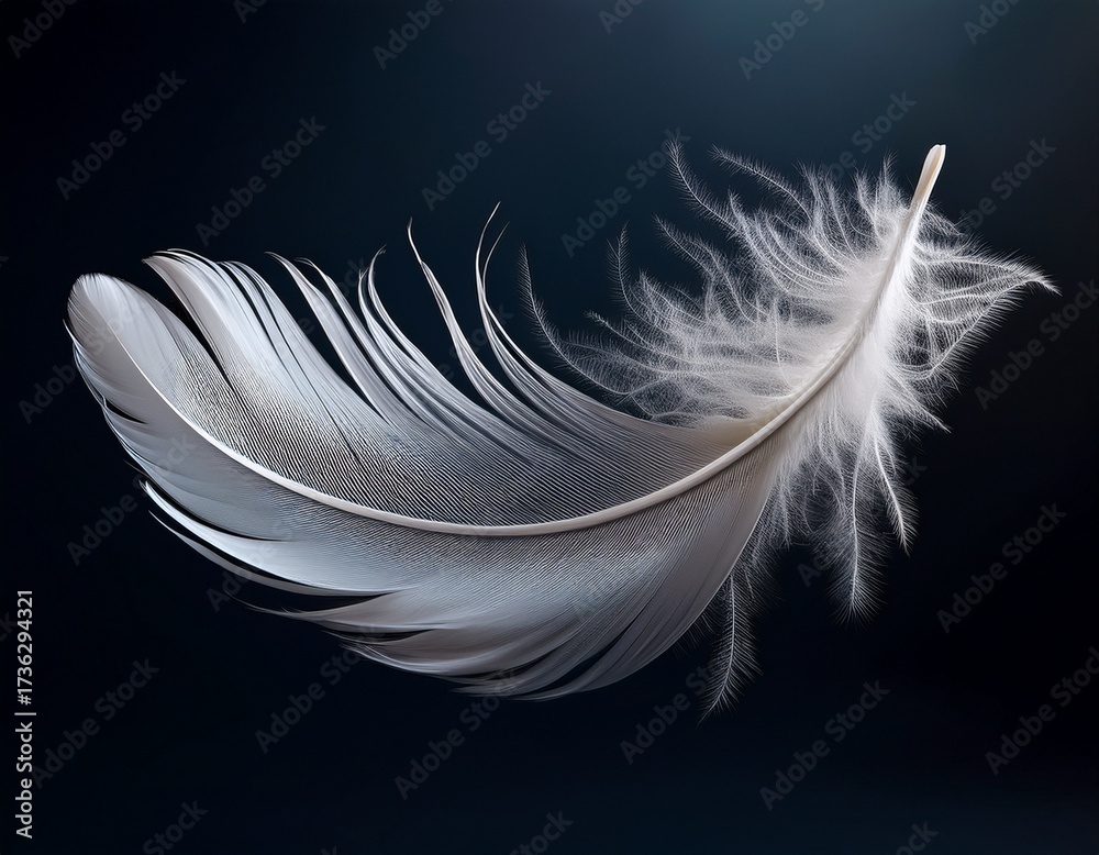 Obraz premium floating white feather with dark background