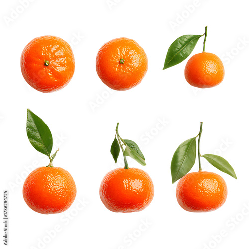 Different ages clementine fruits isolated PNG