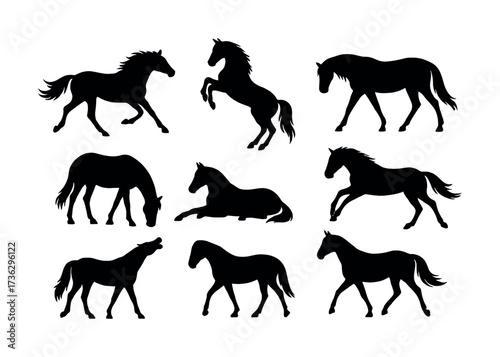 Collection of silhouette horses in various poses on white background