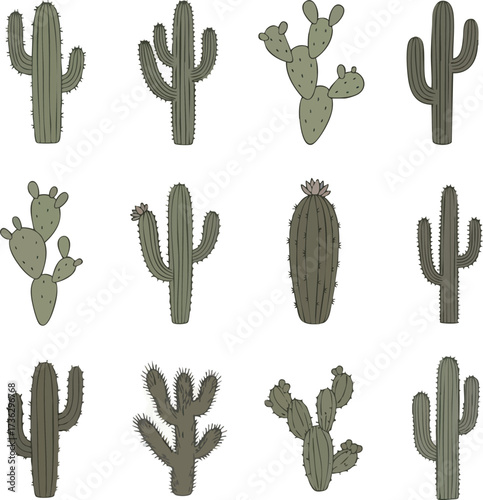 A collection of twelve different illustrated green cacti in various shapes and sizes on a white background.