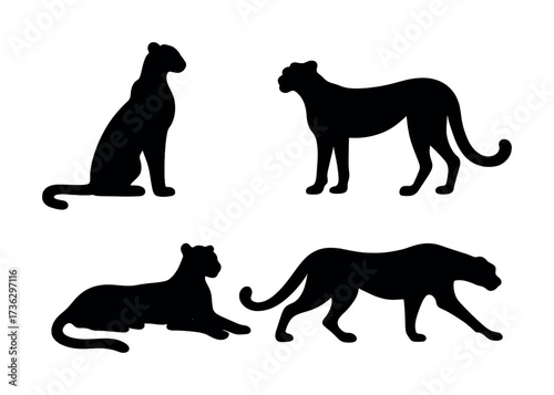 Silhouettes of cheetah in various poses on white background