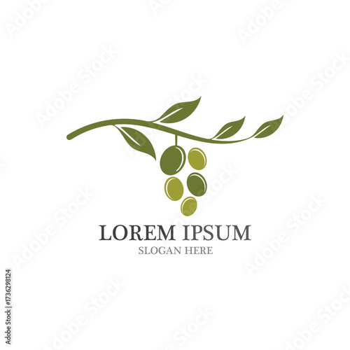 Olive logo template vector design