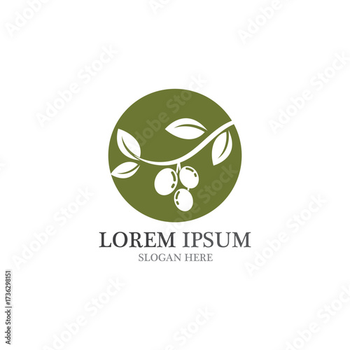 Olive logo template vector design