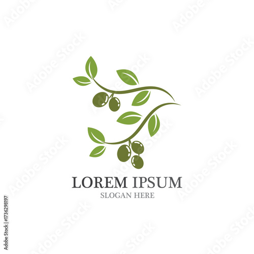 Olive logo template vector design