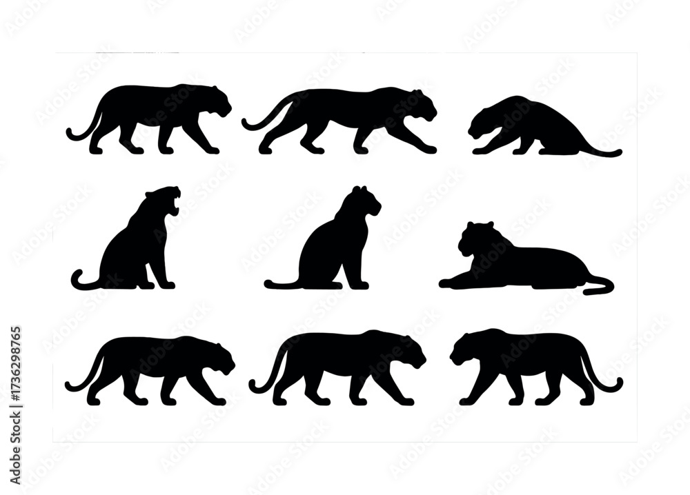 Naklejka premium Silhouette collection of black tiger poses on white background