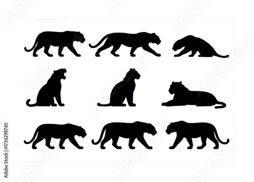 Silhouette collection of black tiger poses on white background
