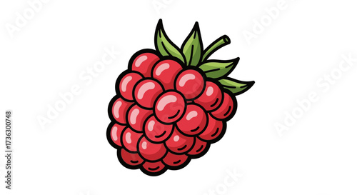 Cartoonish depiction of a single raspberry fruit illustration with black outline