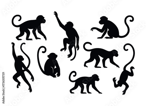 Silhouettes of playful monkeys in various poses with curved tails
