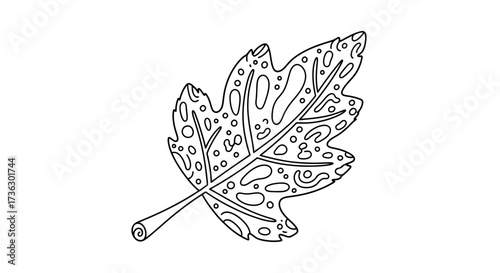 Detailed black and white autumn leaf illustration featuring intricate organic patterns