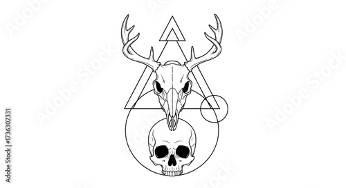 Geometric composition featuring a deer skull and a human skull creating a symbolic abstract