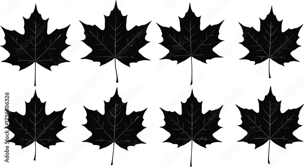Obraz premium Maple leaf silhouette, black leaf icon, autumn foliage design, botanical vector, nature pattern, symmetrical leaves, seasonal illustration, isolated graphic