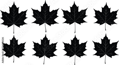 Maple leaf silhouette, black leaf icon, autumn foliage design, botanical vector, nature pattern, symmetrical leaves, seasonal illustration, isolated graphic